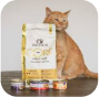 Wellness CORE Grain-Free Cat
