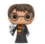 Funko Pop! Harry Potter w/ Hedwig