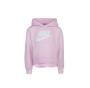 Nike Sportswear Club Hoodie